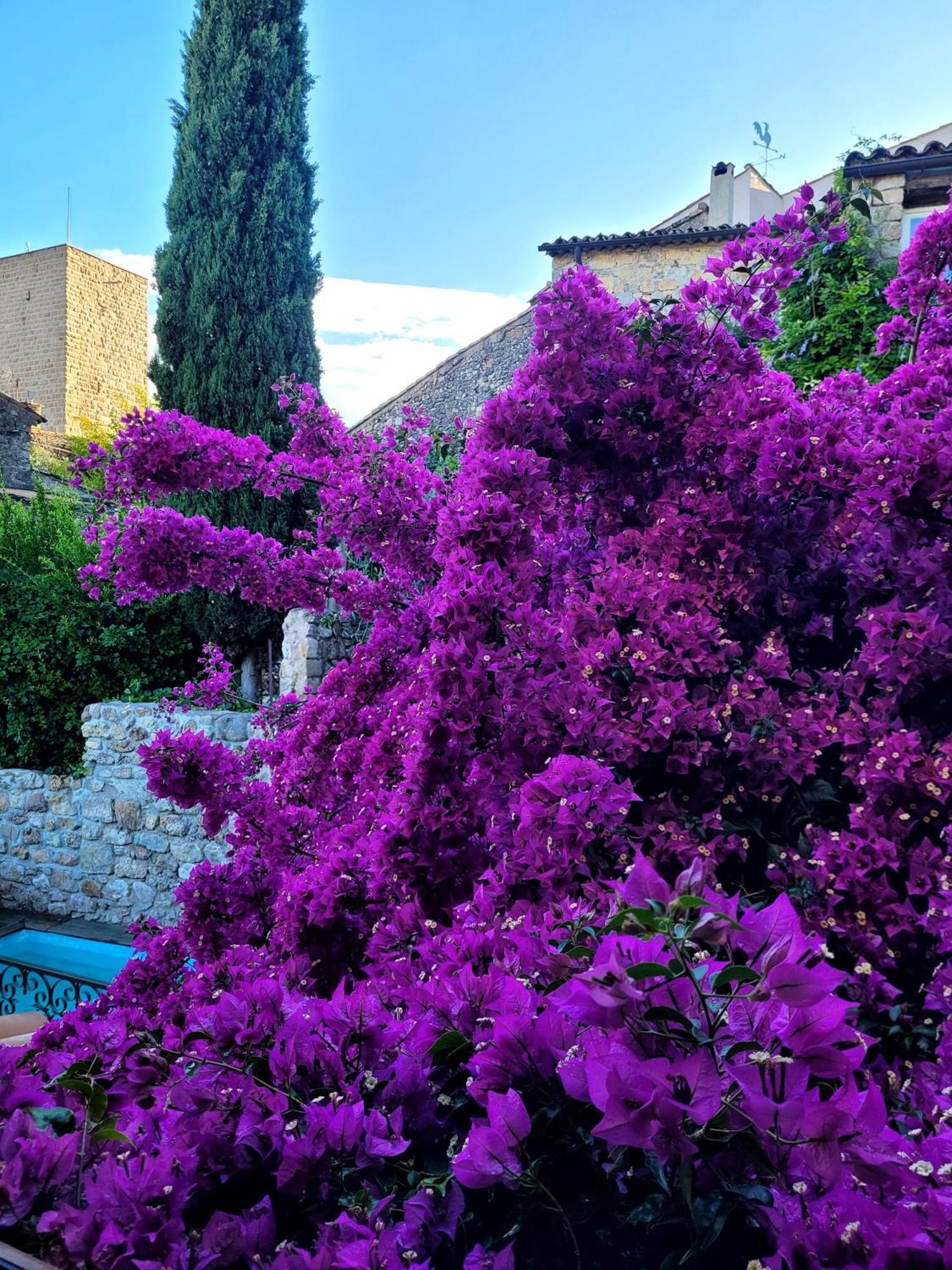Villa Arca Les Arcs-sur-Argens Ngoại thất bức ảnh